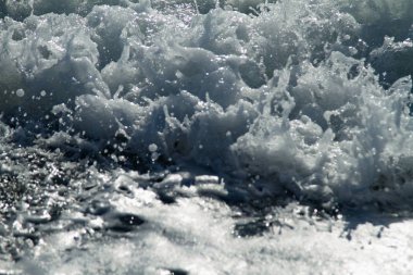 Karadeniz kıyısında deniz köpüğü..