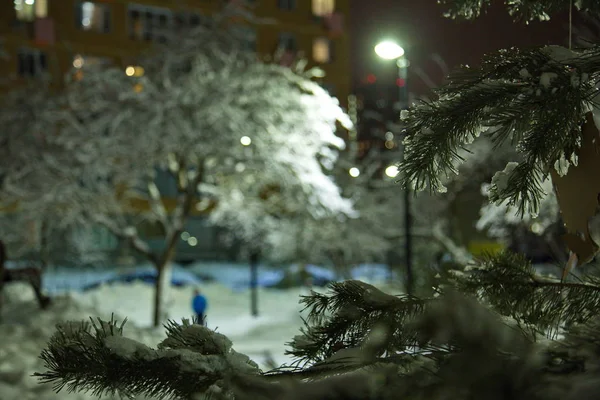 Zasněžené Stromy Zimním Moskevském Parku — Stock fotografie