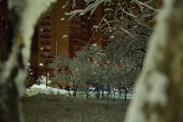 Zasněžené Stromy Zimním Moskevském Parku — Stock fotografie