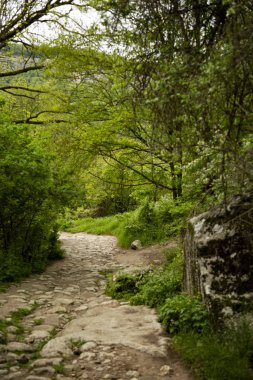 Kırım dağlarındaki eski dağ yolu.