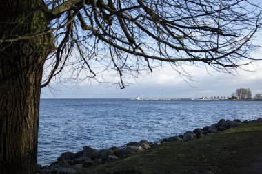 Rusya 'nın Peterhof Sarayı Aşağı Parkı' ndan Finlandiya Körfezi manzarası.