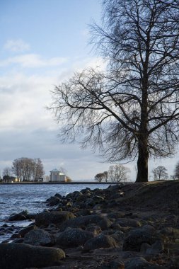 Rusya 'nın Peterhof Sarayı Aşağı Parkı' ndan Finlandiya Körfezi manzarası.