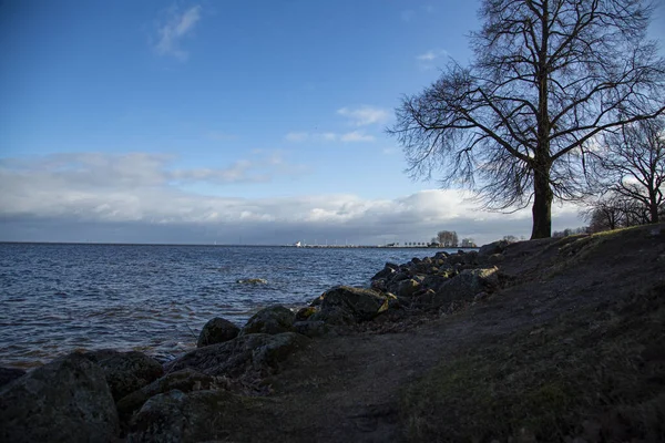 Rusya 'nın Peterhof Sarayı Aşağı Parkı' ndan Finlandiya Körfezi manzarası.