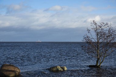 Rusya 'nın Peterhof Sarayı Aşağı Parkı' ndan Finlandiya Körfezi manzarası.