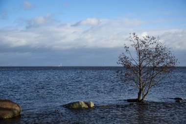 Rusya 'nın Peterhof Sarayı Aşağı Parkı' ndan Finlandiya Körfezi manzarası.