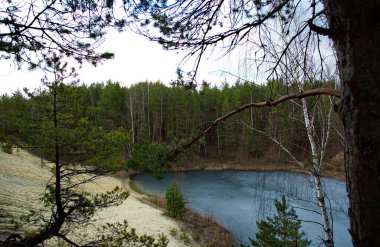 Orta Rusya 'da bir çam ormanında orman gölü.