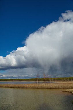 Güzel bir bahar günü, Orta Rusya 'da, bir orman gölünün üzerinde yağan yağışlı kar..