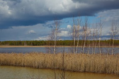 Resimli bir göl, güzel bir bahar günü, Orta Rusya.