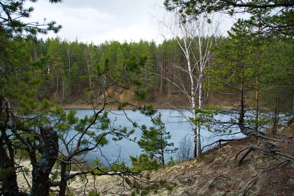 Lesní Jezero Borovicovém Lese Středním Rusku — Stock fotografie