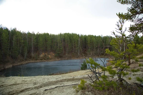 Lago Del Bosque Bosque Pinos Rusia Central — Foto de Stock