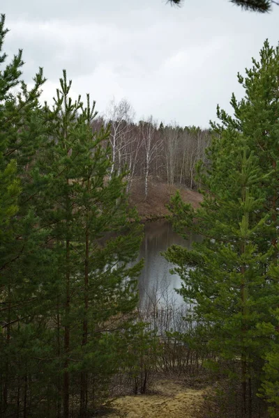 Лесное Озеро Сосновом Лесу Центральной России — стоковое фото
