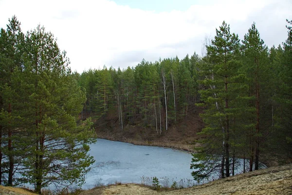 Lago Del Bosque Bosque Pinos Rusia Central — Foto de Stock