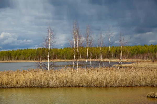 Charge Neige Tardive Sur Lac Forestier Beau Jour Printemps Russie — Photo