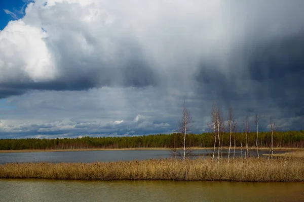 Carga Tardía Nieve Sobre Lago Forestal Buen Día Primavera Rusia —  Fotos de Stock