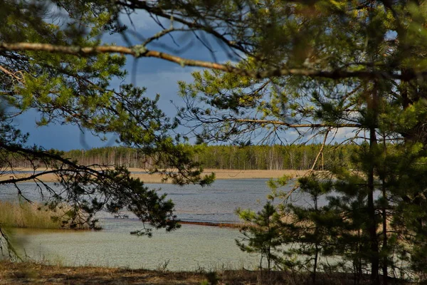 Живописное Озеро Прекрасный Весенний День Центральная Россия — стоковое фото