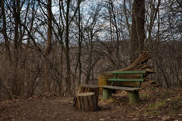 Bench Egy Elhagyatott Tavaszi Parkban — Stock Fotó