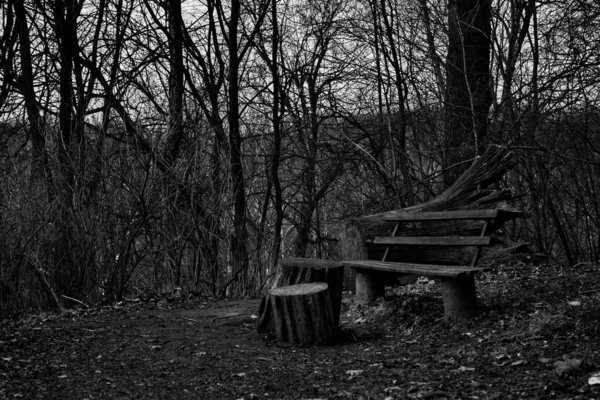 Ławka Opuszczonym Wiosennym Parku — Zdjęcie stockowe