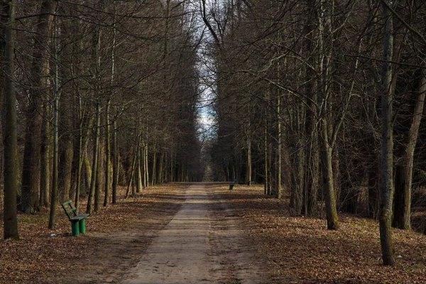 Terk Edilmiş Bir Bahar Parkında — Stok fotoğraf