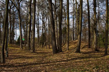 Rusya 'daki Leninsky Gorki arazisindeki Vyatichi kabilelerinin mezarları..