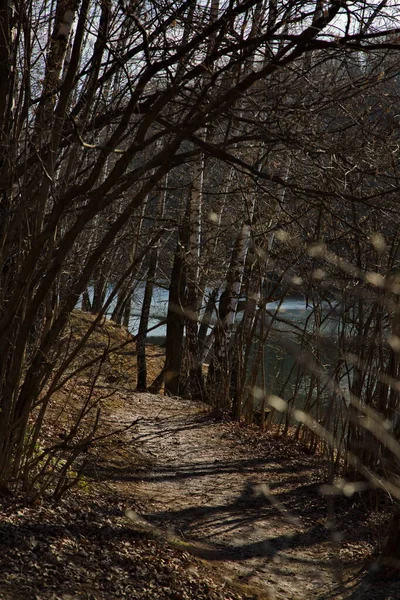 ロシアの早春のモスクワ公園内の都市池 — ストック写真