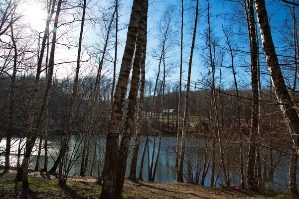 Etang Ville Dans Parc Moscou Début Printemps Russie — Photo