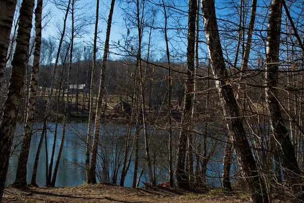 Etang Ville Dans Parc Moscou Début Printemps Russie — Photo