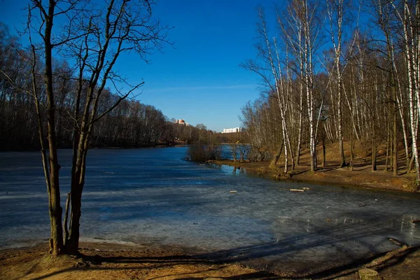 Lagoa Cidade Parque Moscou Início Primavera Rússia — Fotografia de Stock