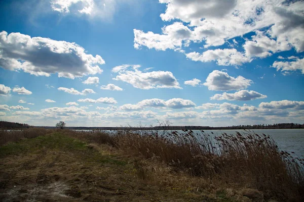 Lago Del Bosque Franja Central Rusia — Foto de Stock