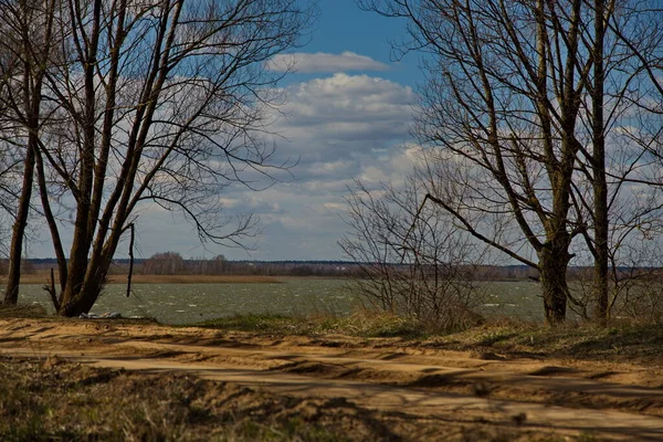 Lago Del Bosque Día Ventoso Primavera Rusia — Foto de Stock