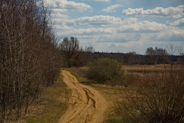 Αγροτικός Δρόμος Στο Ρωσικό Δάσος — Φωτογραφία Αρχείου