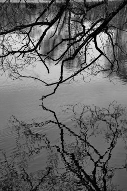 Bahar göletinin grafikleri.