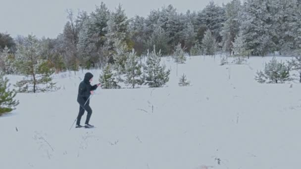 Mannen längdskidåkning ensam i naturen — Stockvideo