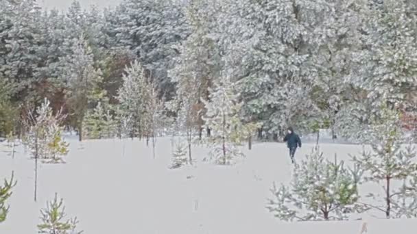 Zwolnionym tempie zamknąć strzał jest dołączony do Carving Ski Buty narciarskie. — Wideo stockowe