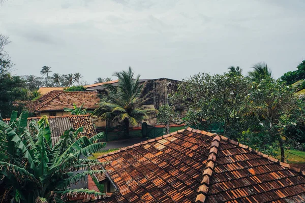 House fayans palmiye Sri Lanka