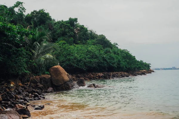 tatil tropikal tatil arka plan - cennet pastoral plaj. Sri lanka