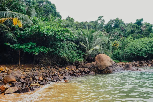 tatil tropikal tatil arka plan - cennet pastoral plaj. Sri lanka