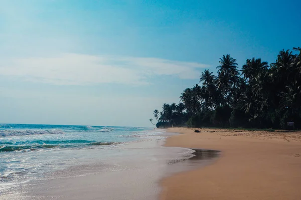tatil tropikal tatil arka plan - cennet pastoral plaj. Sri lanka