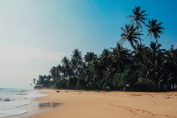 tatil tropikal tatil arka plan - cennet pastoral plaj. Sri lanka
