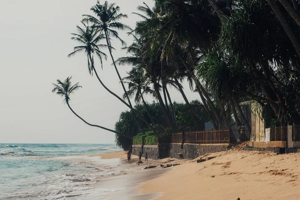 tatil tropikal tatil arka plan - cennet pastoral plaj. Sri lanka