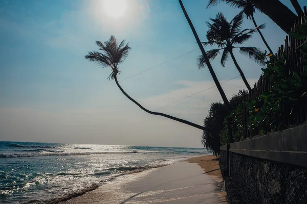 tatil tropikal tatil arka plan - cennet pastoral plaj. Sri lanka