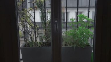 bir açık pencere hava günden gece timelapse montparnasse sayfasından pırıltılı Eyfel Kulesi panorama gece şehir aydınlatıyor için batımında görülen paris manzarası