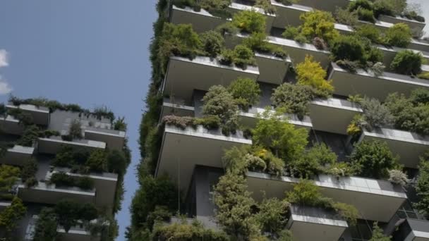 Милан, Италия - Май 2017: Bosco Verticale or Vertical Forest is the Best tall building worldwide. Состоит из двух жилых башен с большим разнообразием деревьев и растений на балконах . — стоковое видео