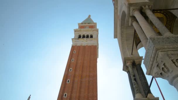 Campanile di Venezia met de gevleugelde leeuw op de achtergrond, gelegen aan Piazza San Marco, Italië — Stockvideo