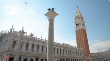 Campanile di Venezia ile kanatlı aslan ın arka plan, bulunan, Piazza San Marco, İtalya