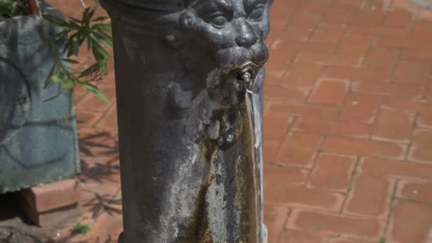 Nahaufnahme der Elemente des Brunnens, ein Wasserstrom ergießt sich aus dem Maul der Fabelwesen, des Löwen und des Mannes im Brunnen eine Menge sauberes Wasser blau — Stockvideo