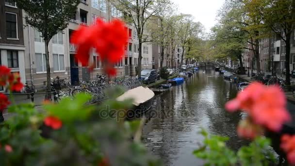 Canal de Amsterdã em cores outono . — Vídeo de Stock