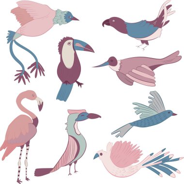 egzotik kuşlar vektör sayfası