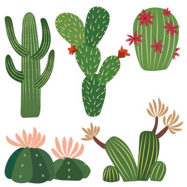 five cactus vector file clipart