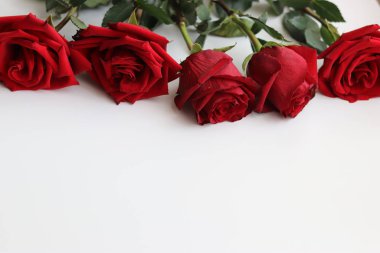 Sevgililer gününde sevilen biri için beyaz arka planda kırmızı güller