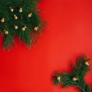 köknar dalı ile Noel arka plan.